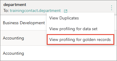 view-profiling-for-golden-records.png