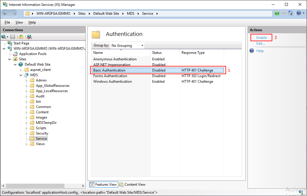 enable_basic_authentication.png