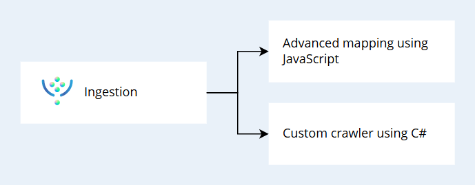 customization-options-ingestion-without-validation.png