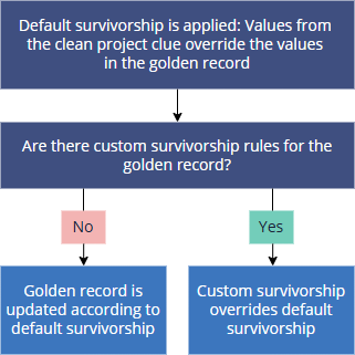 processing-applying-survivorship-rules.png